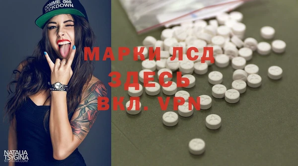 стафф Алзамай