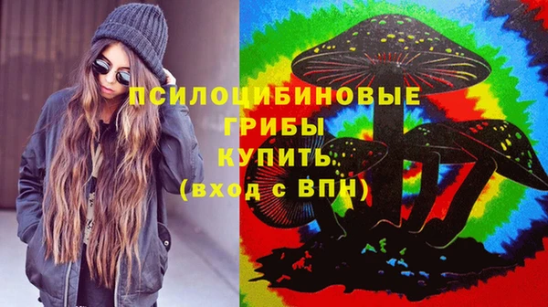 стафф Алзамай
