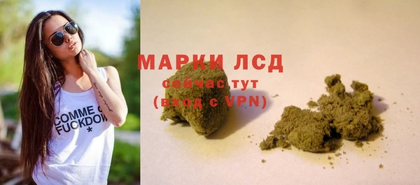 стафф Алзамай