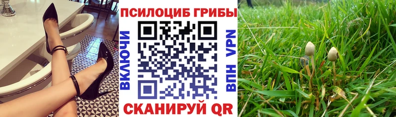 Галлюциногенные грибы Psilocybe  Льгов 